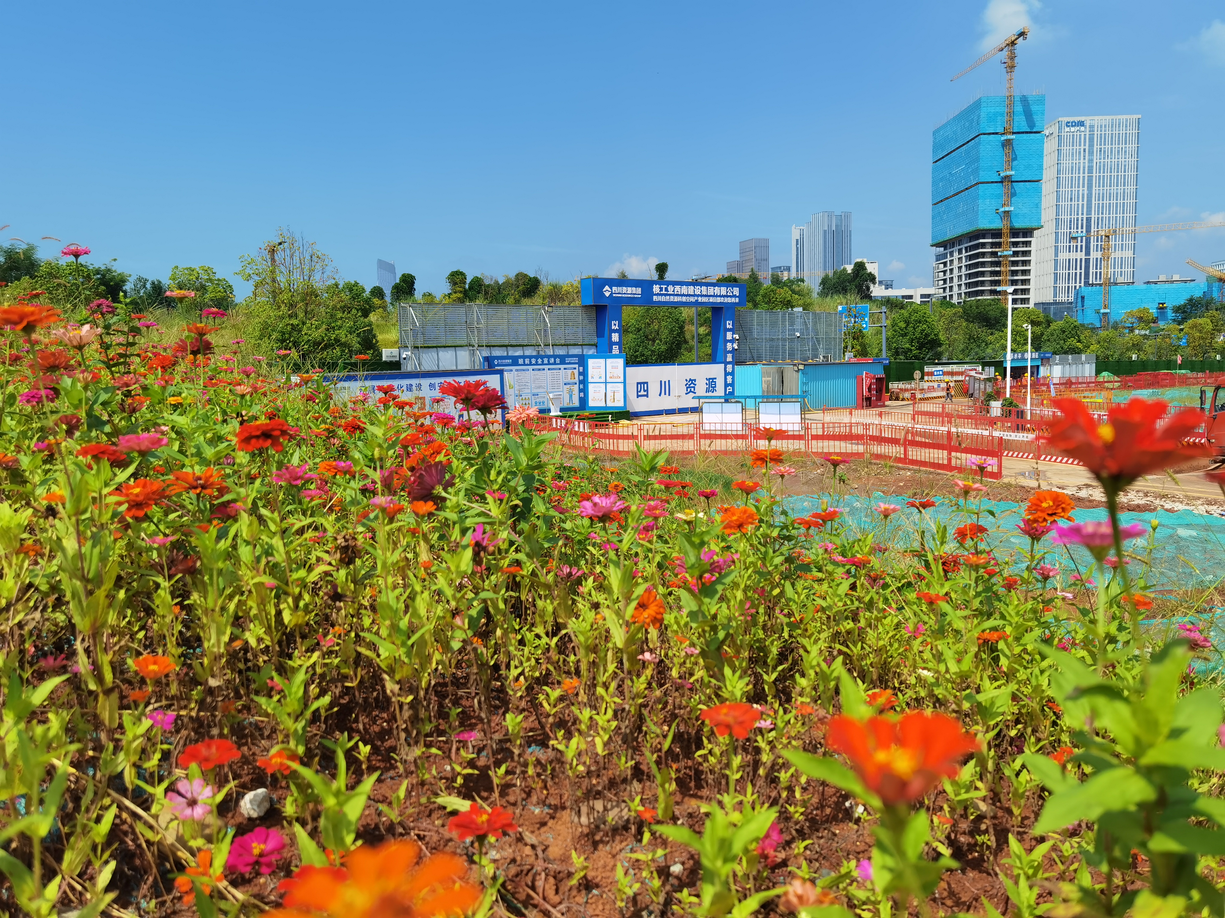 ÕÕÆ¬ (3) ÕÕÆ¬ (3)