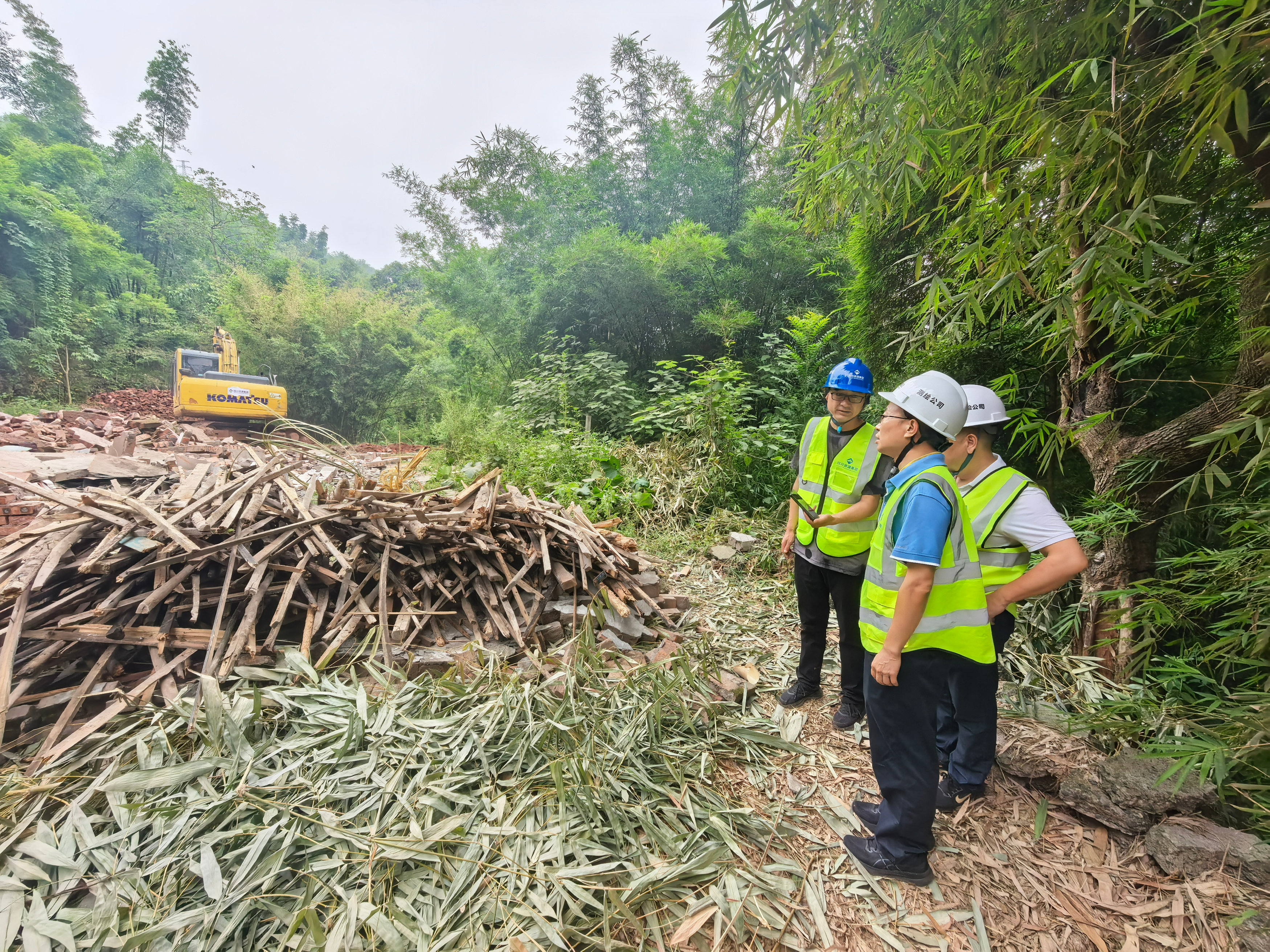 ��Ϊ�������