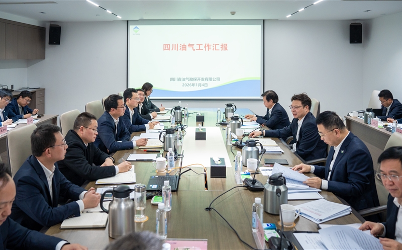 �����쵼���Ĵ����������̲�������